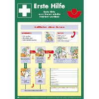 Schild Anleitung Erste-Hilfe 59x41cm 